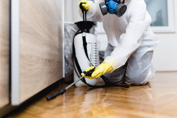 Best Pest Prevention Services  in South Coventry, CT