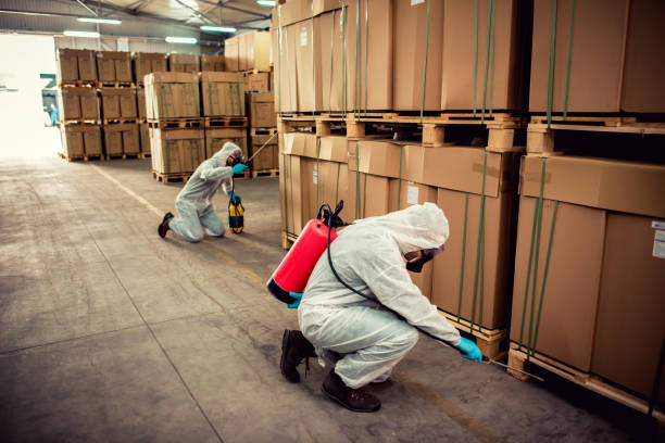 Professional Pest Control in South Coventry, CT