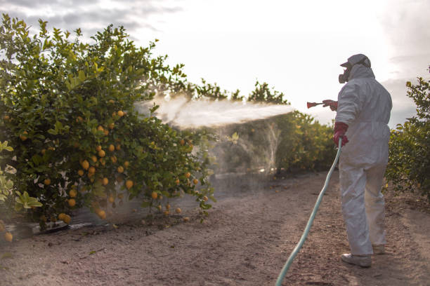 Best Affordable Pest Control Services  in South Coventry, CT