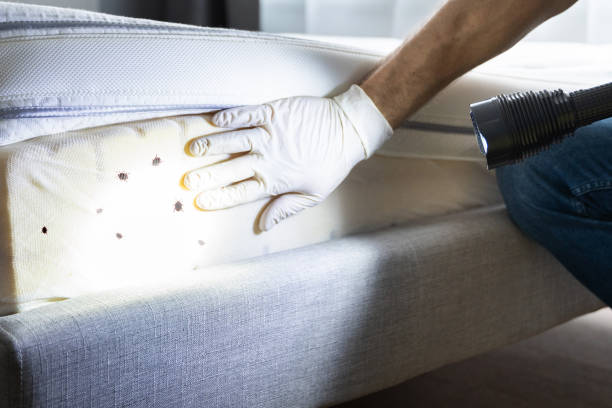 Best Commercial Pest Control Services  in South Coventry, CT