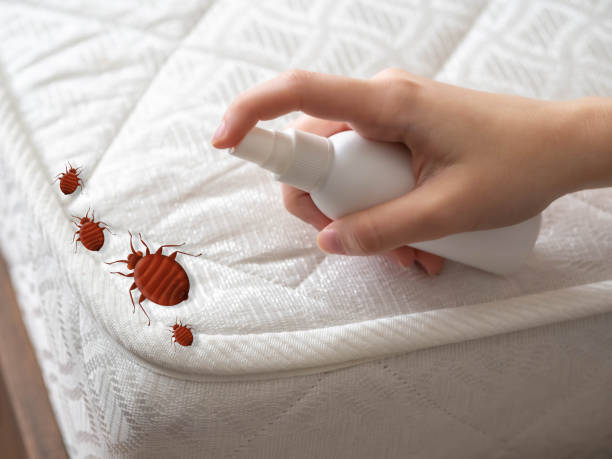 Best Insect Control  in South Coventry, CT