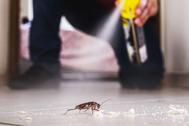 Best Commercial Pest Control Services  in South Coventry, CT