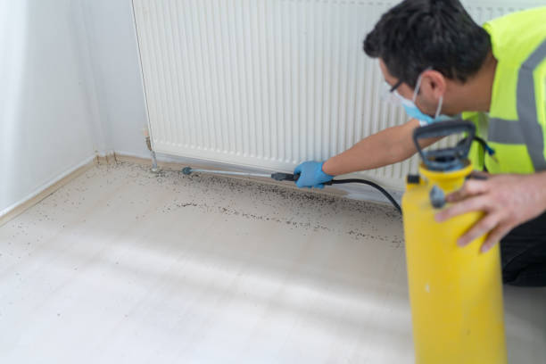 Best Local Pest Control Services  in South Coventry, CT