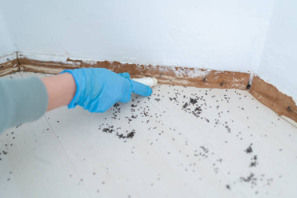 Pest Control Cost in South Coventry, CT